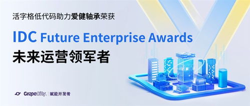 2023年葡萄城低代码沙龙回顾 技术服务与技术开发的融合之路